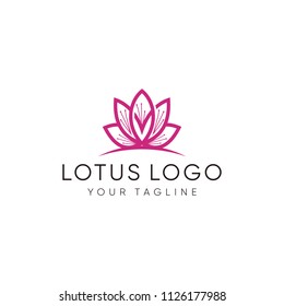 lotus logo flowers vector graphic template download creative 