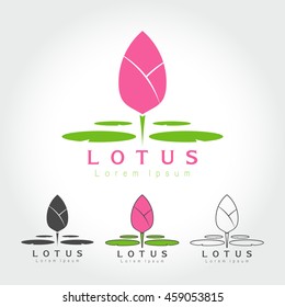  Lotus Logo on white background ,Vector illustration.