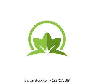 Lotus Logo Organic Green Vector Stock Vector (Royalty Free) 1927278389 ...