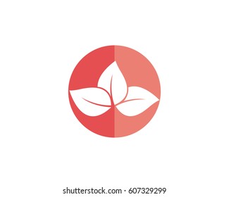 Lotus Logo Template