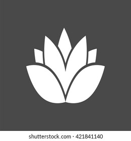 lotus logo, vector lotus flower icon, isolated lotus icon