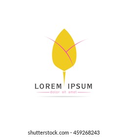  Lotus Logo Vector illustration
