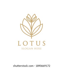 Lotus luxury logo template Gold line lotus logo vector art design