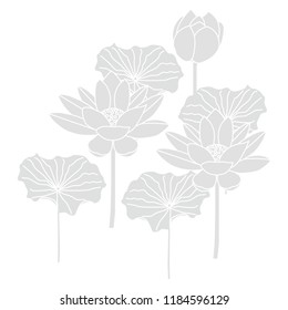 Lotus mourning postcard icon