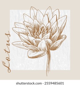 Lotus, Neroli flowers, Fragrance oil, hand drawn vector illustration