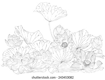Lotus paintings stripes vector background and text