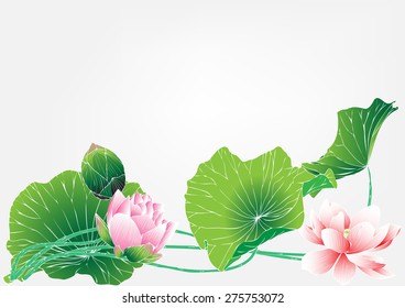 Lotus paintings,Vector of hand drawn lotus flowers and leaves. Sketch floral botany collection in graphic,lily flowers. Business floral card template. Abstract background. 