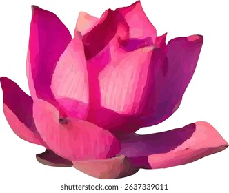  lotus pink flower blooming vector12