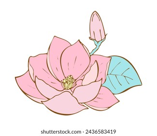 Lotus pink flower hand drawn. Water lilia isolated on white background. Doodle drawing lotus lily for design.