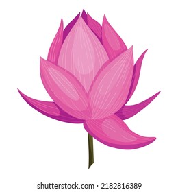 Lotus. Pink flower. Stem and leaves for advertising or invitation. Blossom, bud opening, an aquatic plant. 3D design. Isolated objects for design