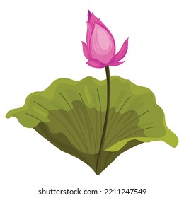 Lotus. Pink flower. Stem and leaves for advertising or invitation. Blossom, bud opening, an aquatic plant. 3D design. Isolated objects for design