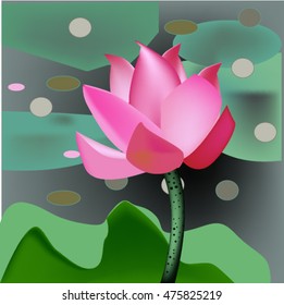 Lotus pond.