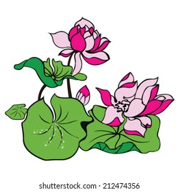 Lotus pop art