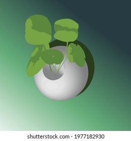 Lotus pot-plant is favor as an indoor plant in old Thai style living. Water in the pot gives cool and fresh air to the surrounded area.