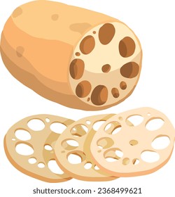 Lotus root. Asian Vegetable Illustration Vector.