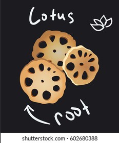 Lotus root is a Chinese traditional food, high nutritional value 