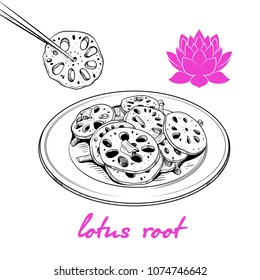 Lotus root dish sketch. Vector drawing in vintage style. Asian cuisine  dish .Hand-drawn  food illustration.