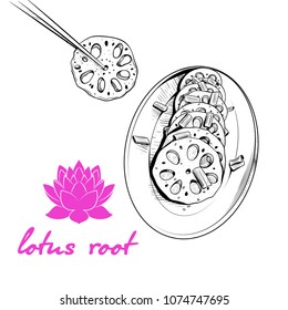 Lotus root dish sketch. Vector drawing in vintage style. Asian cuisine  dish .Hand-drawn  food illustration.
