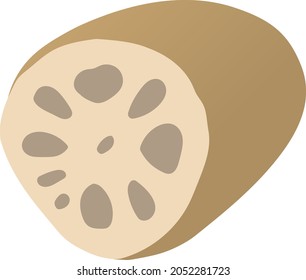 Lotus root isolated vector illustration.