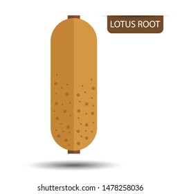 Lotus root on white background. Flat design style. vector illustration.