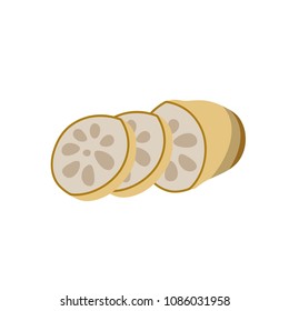 Lotus root, slices of exotic fruit. Natural tropical plant. Made in cartoon flat style. Vector illustration