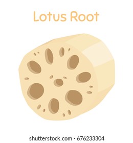 Lotus root, slices of exotic fruit. Natural tropical plant. Made in cartoon flat style. Vector illustration