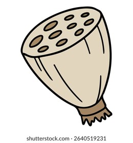 Lotus root vector illustration, simple design