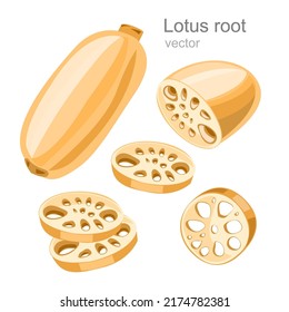 Lotus root or Water lily root, Asian food.