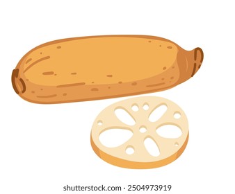 Lotus root whole and slice. Traditional asian plant vegetable. Vector illustration isolated on white background