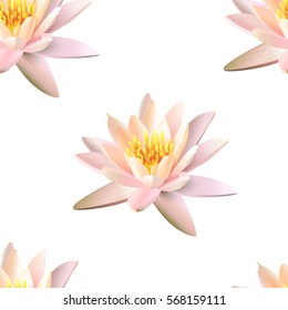 Lotus seamless pattern on white background. Vector illustration.