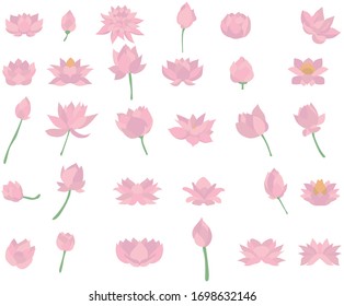 Lotus set. Lotus flower art