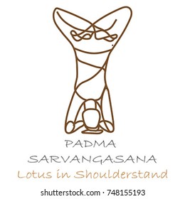 lotus in shoulder stand yoga pose