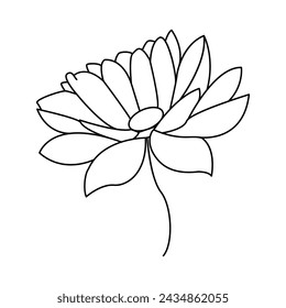 Lotus single continuous one line out line vector art  drawing  and tattoo design
