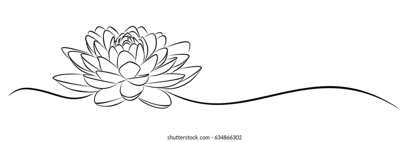 lotus Sketch. 