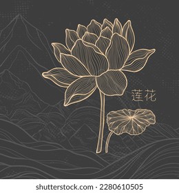 Lotus sketch with fine graceful lines. Isolated flower on a dark background. Vintage etching botanical lotus. The inscription of the hieroglyph means "Lotus".Vector illustration.