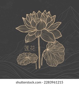 Lotus sketch with fine graceful lines. Isolated flower on a dark background. Vintage etching botanical lotus. The inscription of the hieroglyph means "Lotus".Vector illustration.