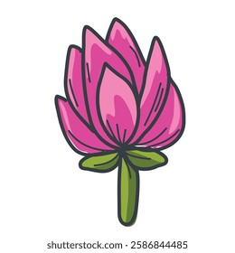 Lotus, Symbol of purity, enlightenment and spirituality in Thai culture. Elegant petals, flowing lines, maybe with traditional patterns or in Buddhist style. isolated on white background.vector