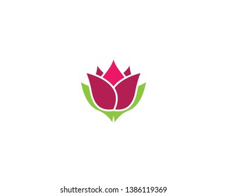 Lotus symbol vector icon illustration