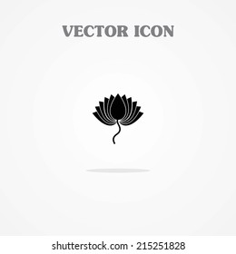  lotus symbols