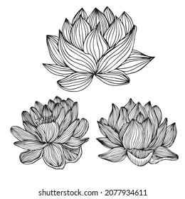 lotus tattoo design lines shape , vector illustration flower indian boho etnic ornate design lotus flower doodle sketch , black line shape isolated on white , vector illustration