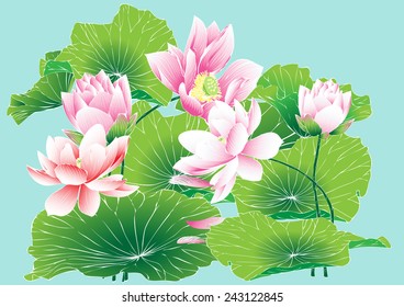 Lotus vector drawing for background and text,,abstract lotus symbols.illustration eps8,hand drawn,greeting card with lotus flower