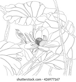 Lotus vector drawing. Japanese graphics by hand. Black contour. Sketch: flower, bird. leaves. Japanese motifs, Japanese culture.Coloring concept, pattern