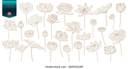 Lotus Vector element. Golden lotus line arts design for packaging template, pattern design element, vintage background, luxury logo, beauty and cosmetic wallpaper vector illustration.