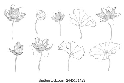 Lotus Vector element. lotus line arts design for packaging template, pattern design element, vintage background, luxury logo, beauty and cosmetic wallpaper vector illustration.