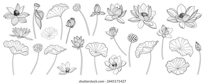 Lotus Vector element. lotus line arts design for packaging template, pattern design element, vintage background, luxury logo, beauty and cosmetic wallpaper vector illustration.