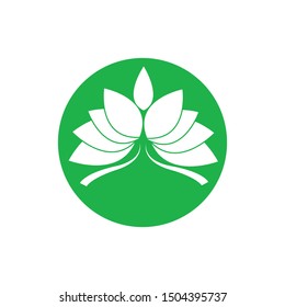 Lotus vector icon logo design