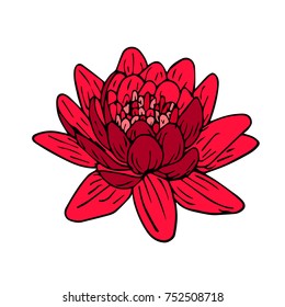 Lotus vector illustration. Doodle style. Design, print, logo, decor, textile, paper.