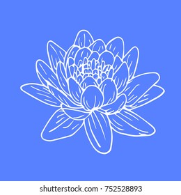 Lotus vector illustration. Doodle style. Design, print, logo, decor, textile, paper.