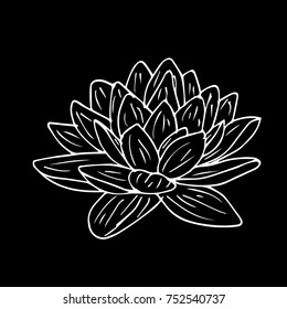 Lotus vector illustration. Doodle style. Design, print, logo, decor, textile, paper.