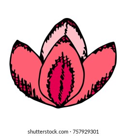 Lotus vector illustration. Doodle style. Design, print, logo, decor, textile, paper